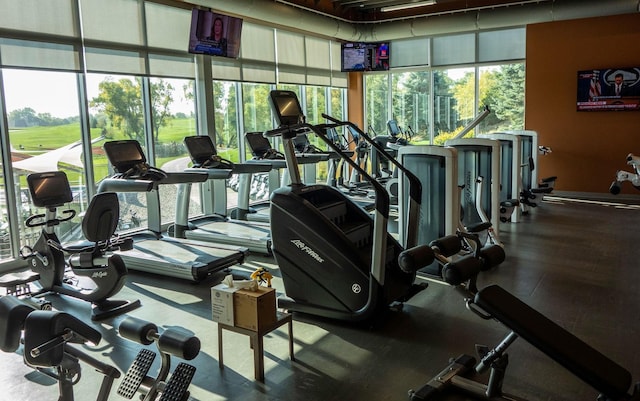 workout area featuring a healthy amount of sunlight and expansive windows