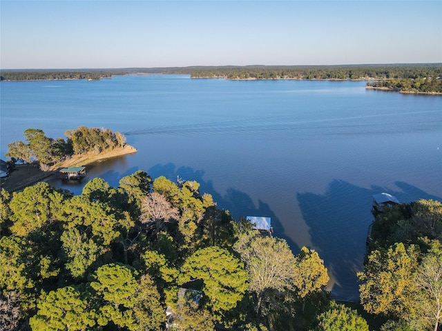 drone / aerial view with a view of trees and a water view