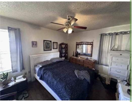 bedroom with multiple windows, a textured ceiling, and ceiling fan