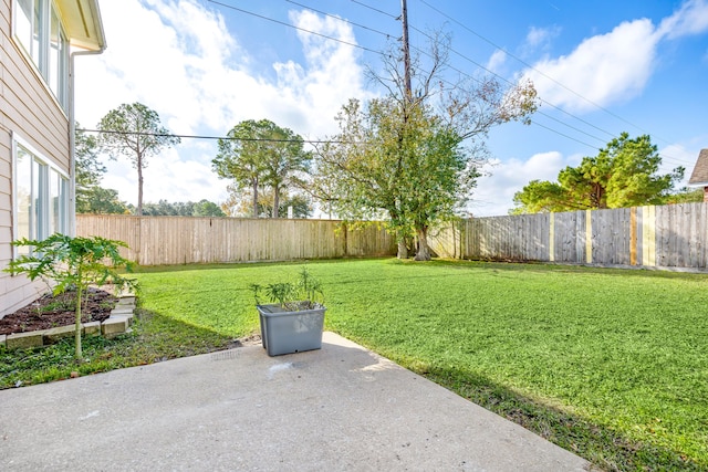 view of yard featuring a fenced backyard and a patio area