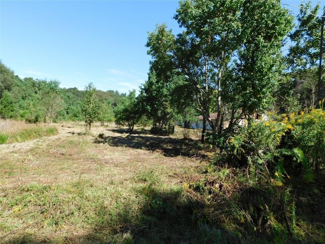 328 County Road 3893 W, Cleveland, TX 77328 - photo 4