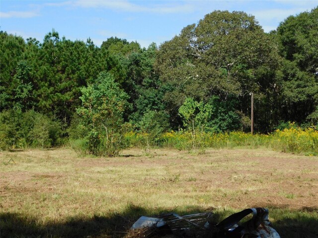 328 County Road 3893 W, Cleveland, TX 77328 - photo 6