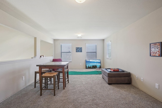 dining area with carpet floors