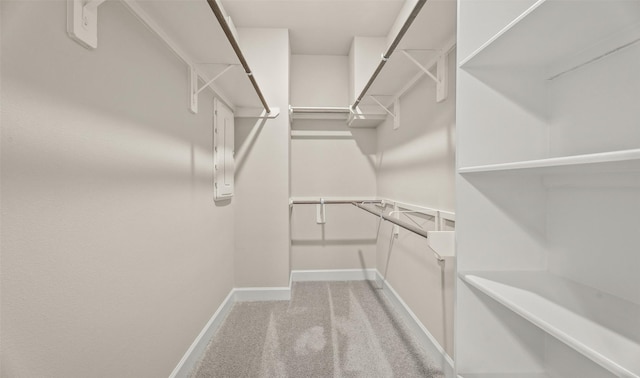 walk in closet with light carpet