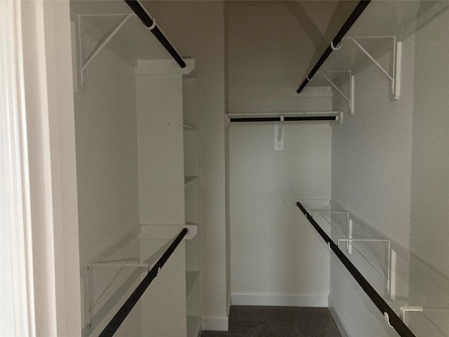 13109 Mundet Dr, Houston, TX 77047 - view of spacious closet
