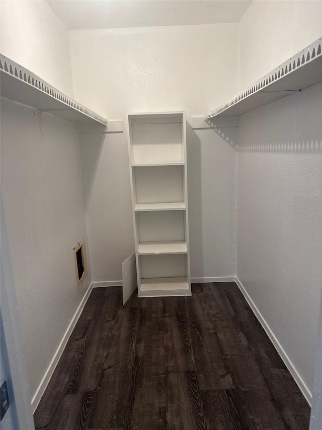 spacious closet featuring dark wood-style floors