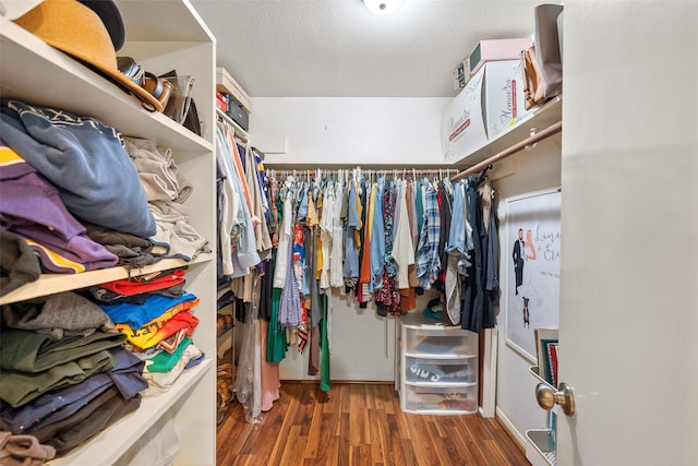 walk in closet featuring wood finished floors