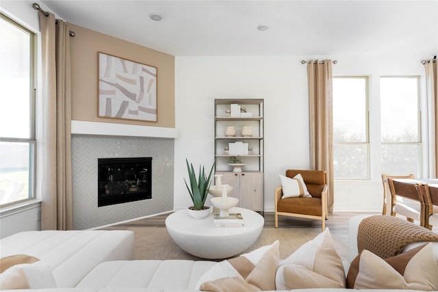 living room with a glass covered fireplace and wood finished floors