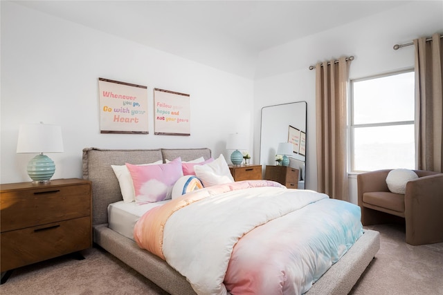 bedroom with carpet floors