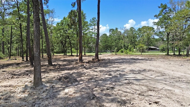 324 William Thomas Rd, Huntsville TX, 77320 land for sale