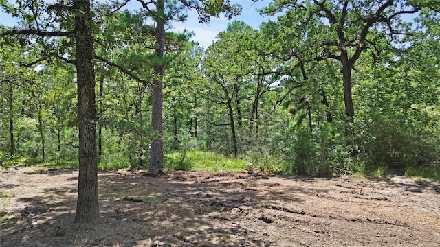 Listing photo 3 for 324 William Thomas Rd, Huntsville TX 77320