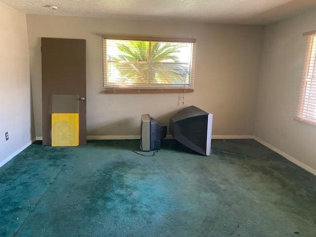 spare room featuring a healthy amount of sunlight, carpet floors, and a textured ceiling