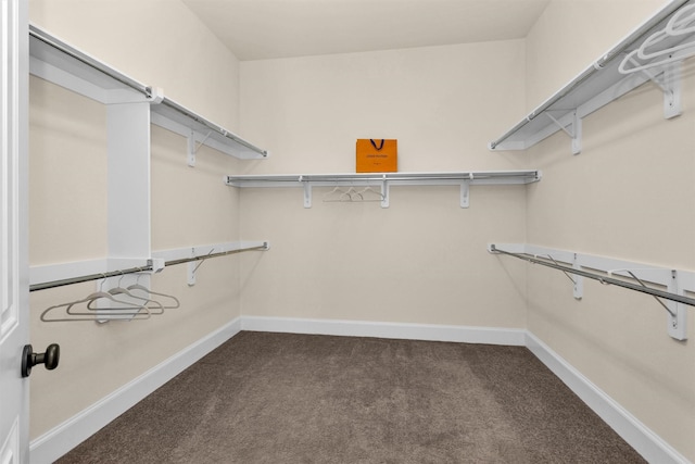 walk in closet featuring dark carpet