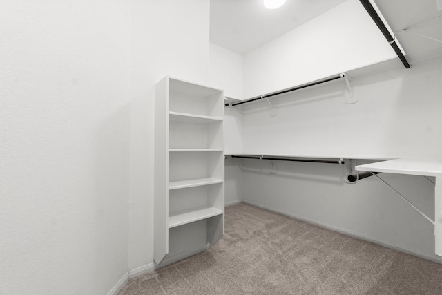 spacious closet with light colored carpet