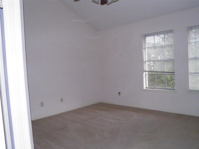 empty room featuring carpet flooring