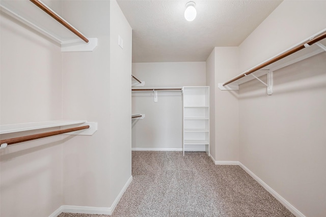 spacious closet featuring carpet