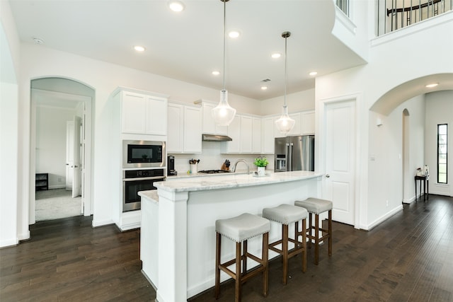 kitchen with dark wood-style floors, arched walkways, stainless steel appliances, under cabinet range hood, and tasteful backsplash