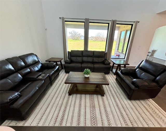 living room with plenty of natural light