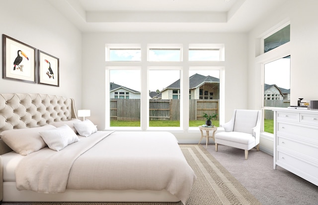 bedroom with light carpet and a raised ceiling