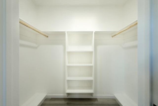 spacious closet featuring wood finished floors