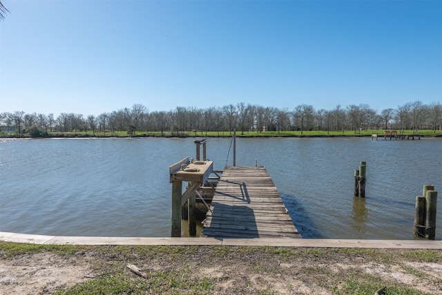 dock area featuring a water view