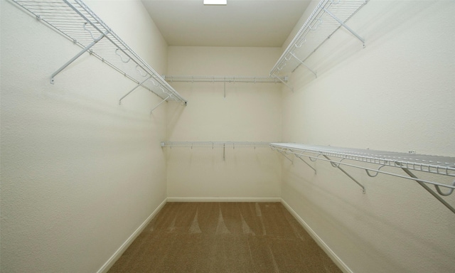 walk in closet with carpet flooring