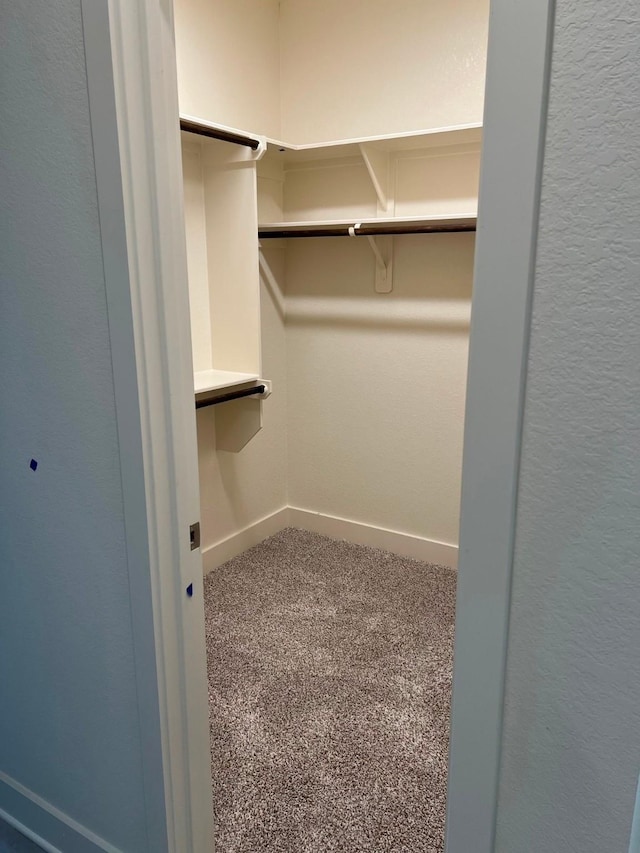 spacious closet with carpet