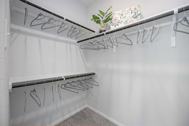 spacious closet with carpet