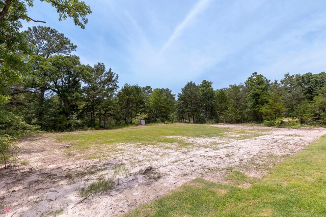 8286 Muir Wood Loop, Anderson, TX 77830 - photo 44