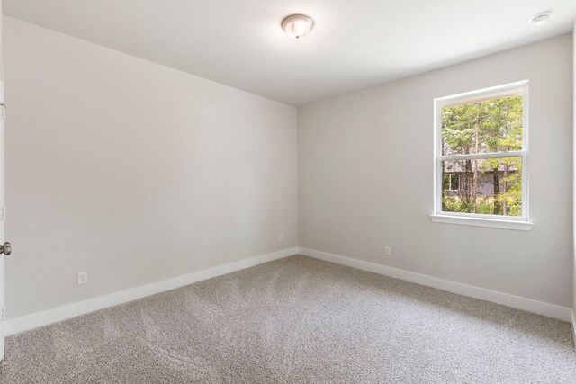 8286 Muir Wood Loop, Anderson, TX 77830 - photo 27