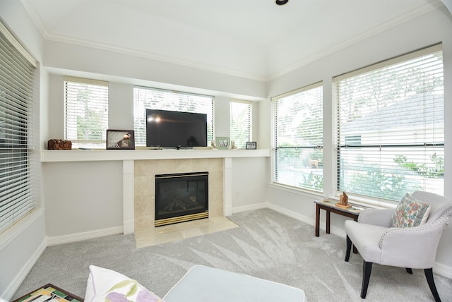 living area featuring baseboards, carpet, and a fireplace