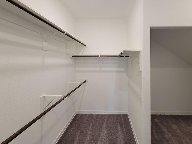 spacious closet with dark colored carpet