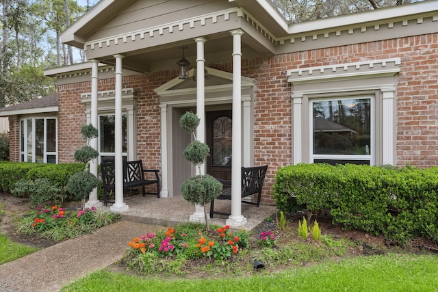 view of exterior entry with a porch and brick siding