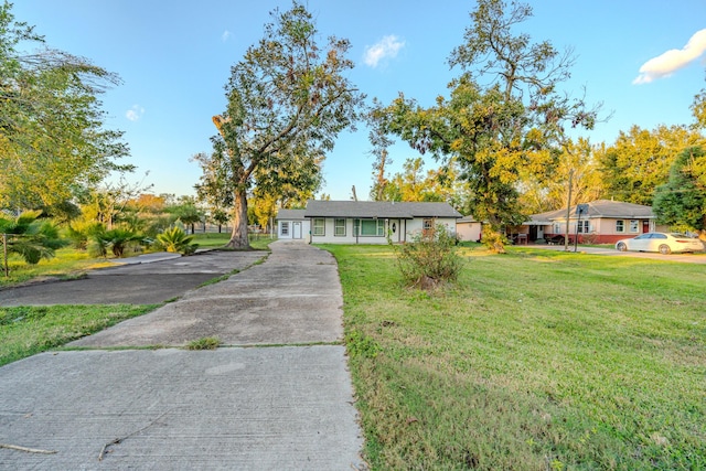 ranch-style home featuring a front yard and driveway