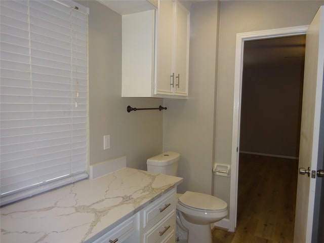 bathroom featuring toilet, wood finished floors, and vanity