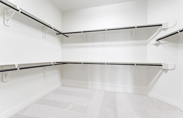 spacious closet with carpet flooring