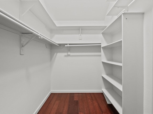 walk in closet featuring wood finished floors