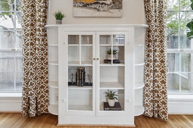 interior details featuring wood finished floors