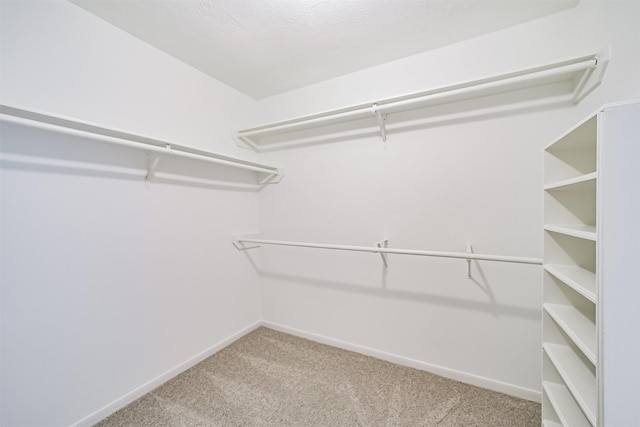 walk in closet featuring carpet floors