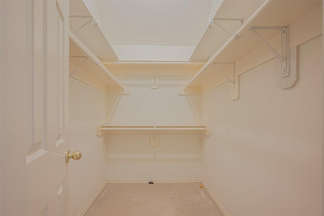 view of spacious closet