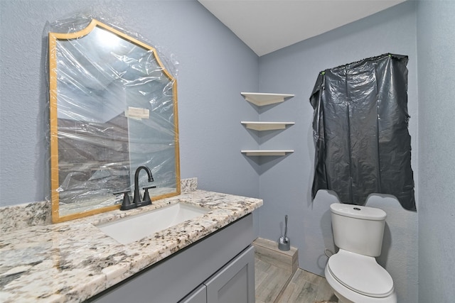 bathroom featuring vanity, toilet, and wood finished floors