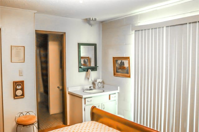 bedroom with a sink