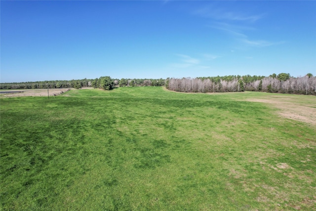 view of yard with a rural view