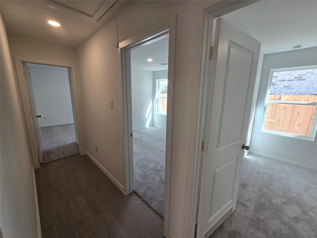 hall with dark wood finished floors, baseboards, and dark carpet