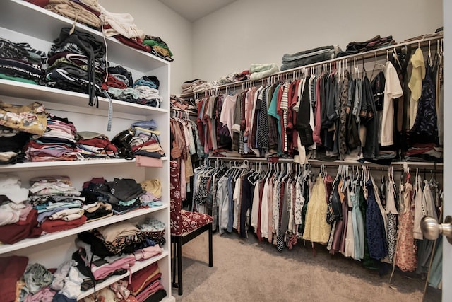 spacious closet with carpet