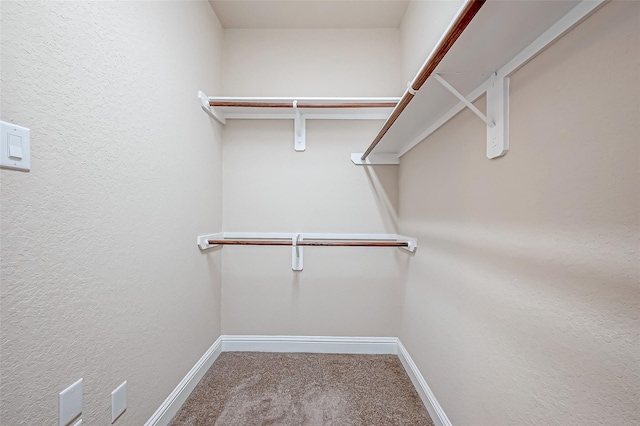 walk in closet with carpet