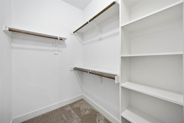 walk in closet featuring carpet floors