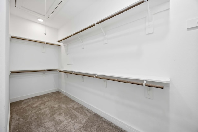 spacious closet with light carpet and attic access