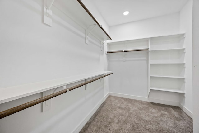 walk in closet featuring light colored carpet