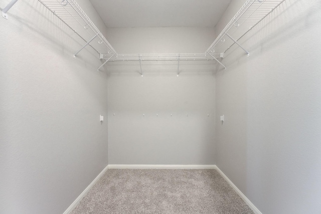 spacious closet with carpet flooring